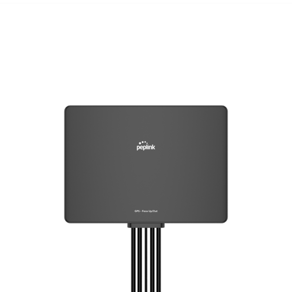 Peplink Slim 40G